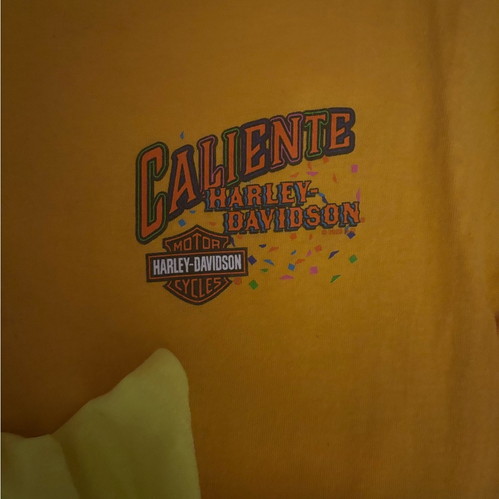 Lot of 4 preowned mens Harley shirts. There are pre owned one is new with tags